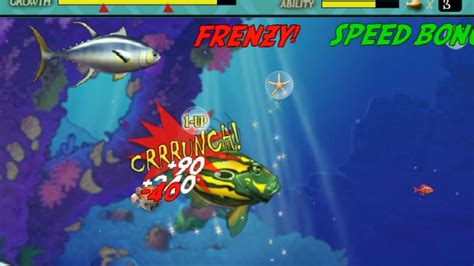 feeding frenzy poe|Feeding Frenzy Support .